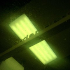 It Came At Night