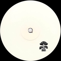 HouseHub Premiere: Ned Woods - Psychedelic Girl (Original Mix)