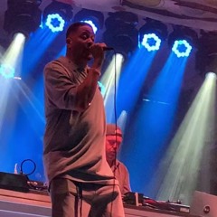 Chali 2na & Cut Chemist - J Dilla Freestyle > In The House > Step Yo Game Up 1/8/20 Jam Cruise