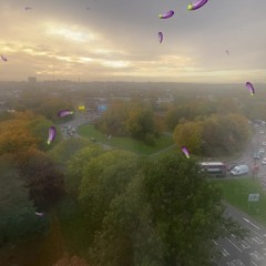 Hzino- Somali Barbie