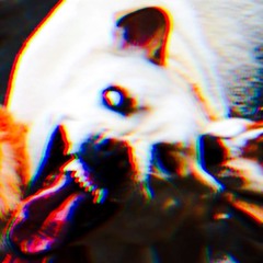 まだまだヘボ