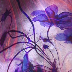 dark electronic music 🖤 week 43 : 2025