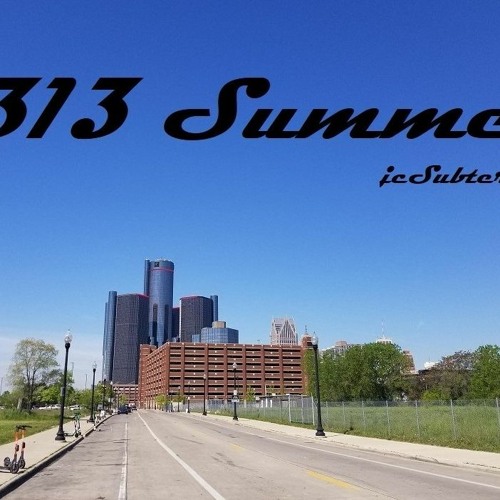 313 Summer
