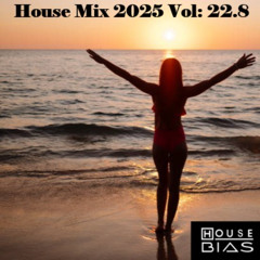 House Mix 2025 Vol: 22.8