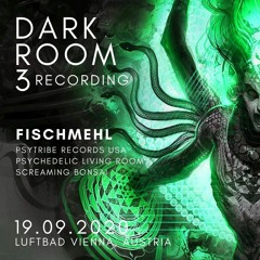 Fischmehl - Dark Room #3 on 19.09.2020