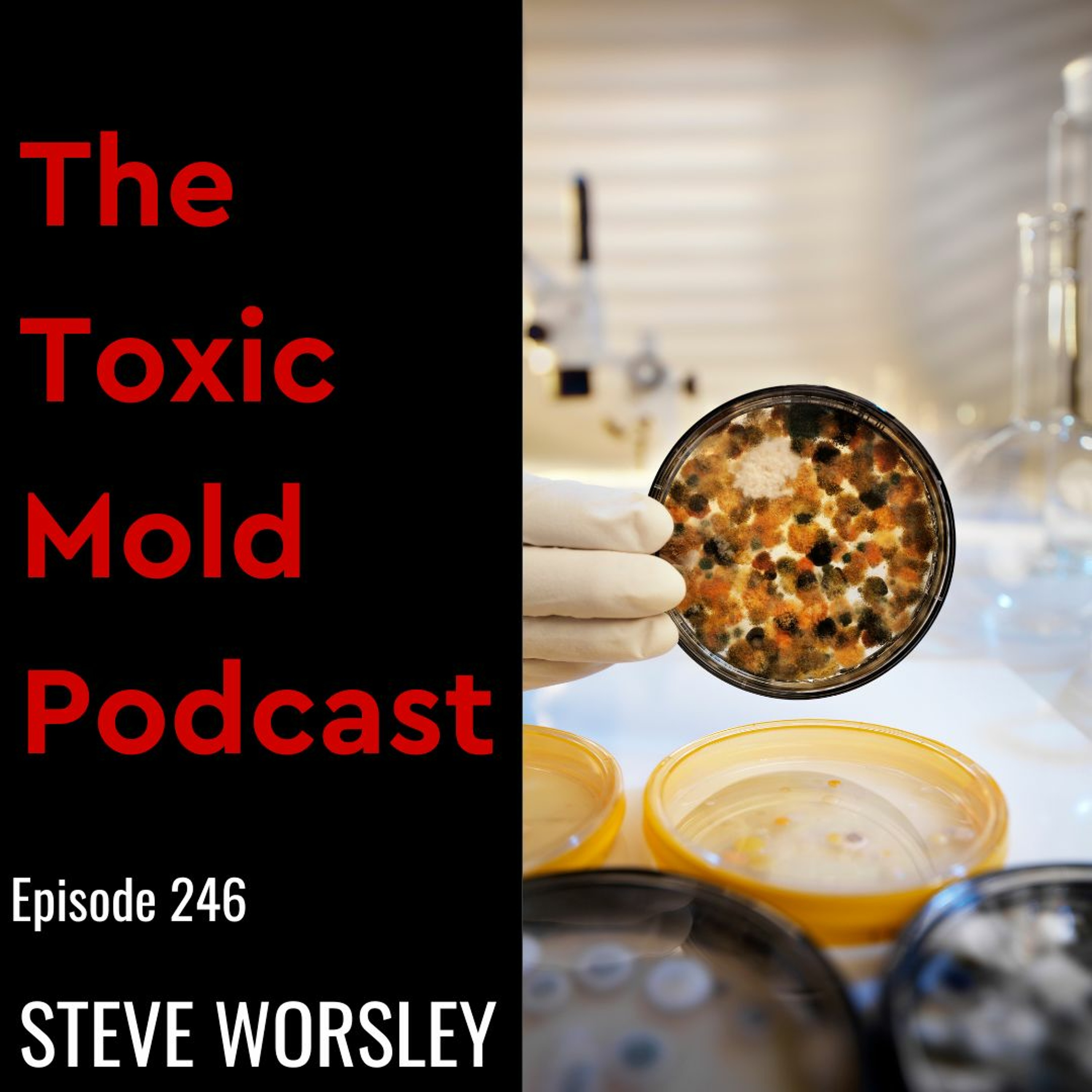 The Toxic Mold Podcast