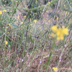 All Of The Time (four track)