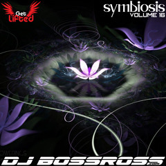 Symbiosis 16 - Best of Organic & Chill House