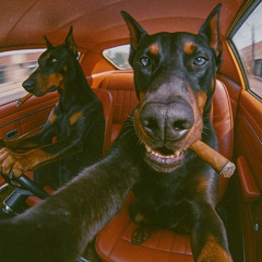 Rusowsky x Ralphie Choo Type Beat – [Luna en Fragmentos] [Alt R&B / Experimental Pop]