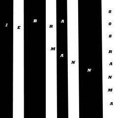 Zebramann