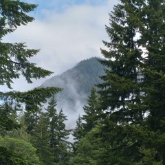 Redbone • Guitar Cover
