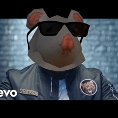 KAARIS X FROG