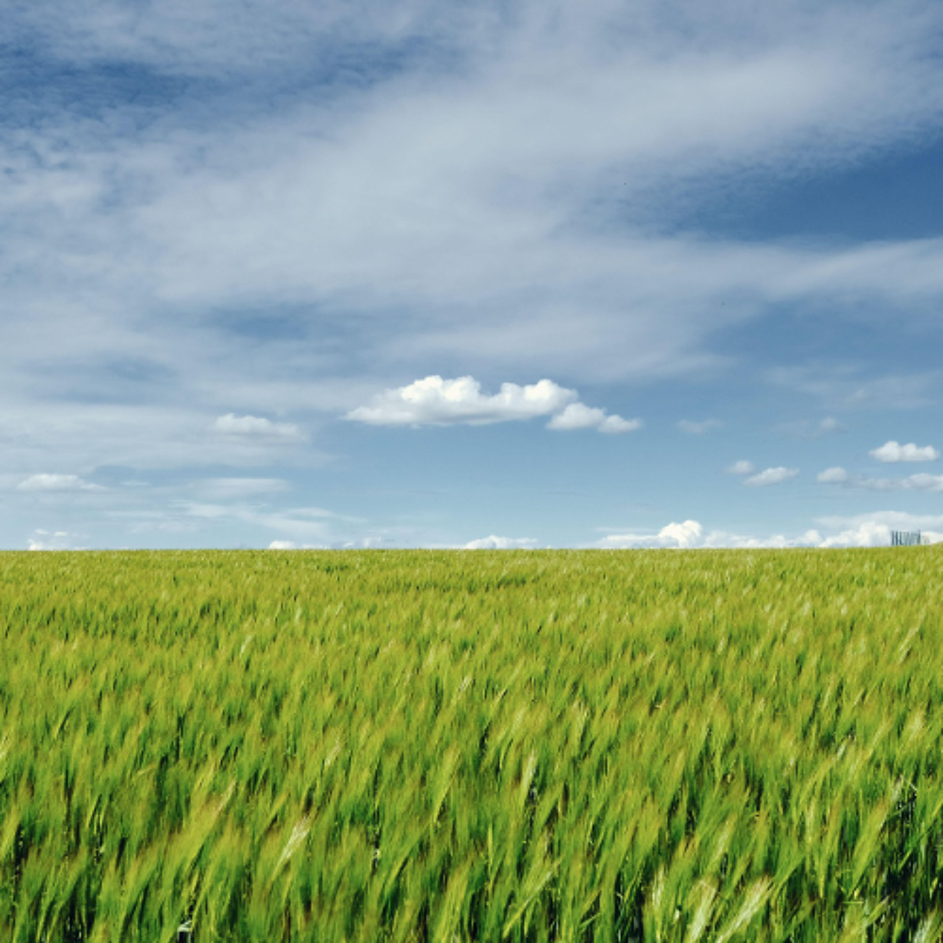 Annual Love of Ag Conference Set for Grain Producers in B.C. Peace