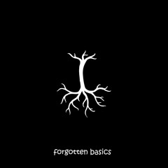 𝕂𝔸𝕊ℤ𝔸 - forgotten basics