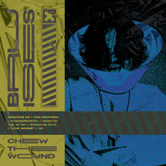 Bruises - Chew the Wound - 03 Badgermouth