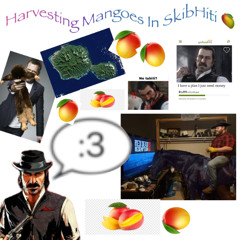 Harvesting Mangoes In Skibhiti