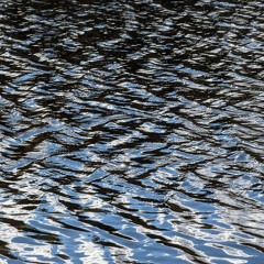 Ripples