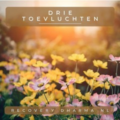 Drie Toevluchten In Het Hier En Nu (Recovery Dharma NL)