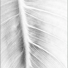 Dominic Hernández - En ningún lugar para ser encontrado