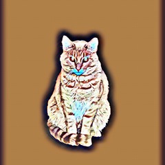 BEER *sighko version* w/ EmDawwG