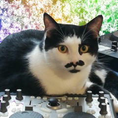 Mix presque aussi doux que mon chat
