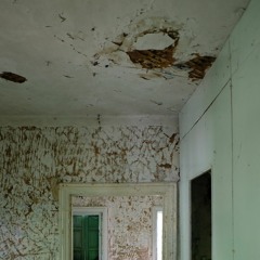 Advantages of Frequent Home & Commercial Mold Inspections