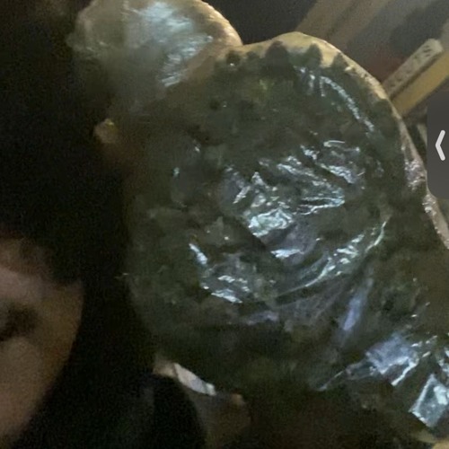 I M I N Y O U R H E A D ( F U C K Y O U )