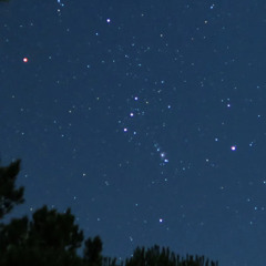 Summer Stars + Besties