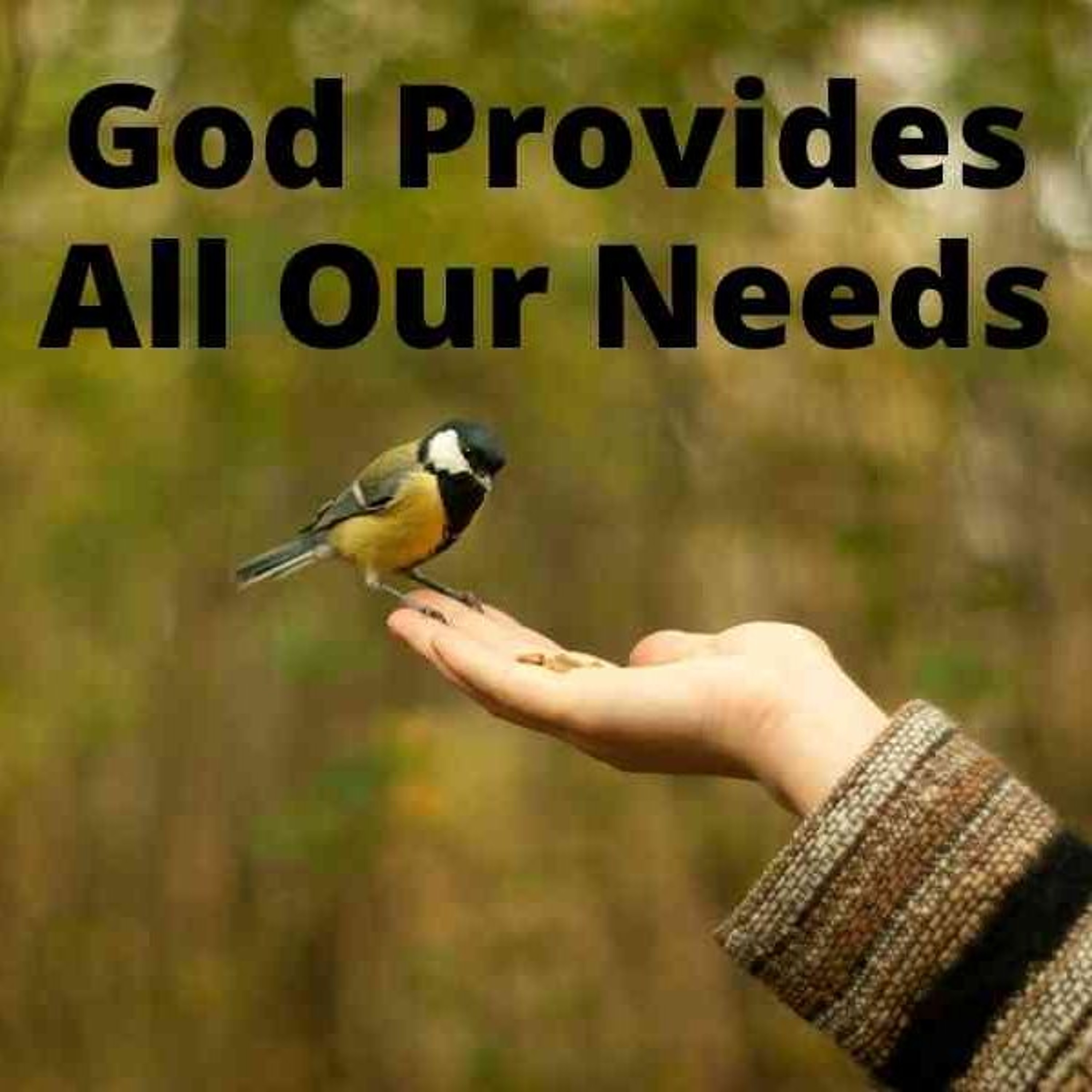 God's Provision for Godliness - 2 Peter 1:3-4 episode artwork