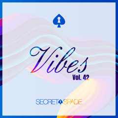 Vibes Vol.42