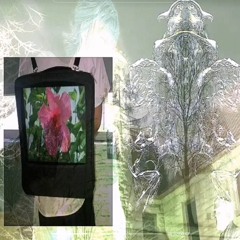 𓎢