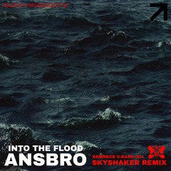 Ansbro - Into The Flood (Skyshaker Remix)