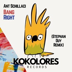 Ant Schillaci - Bang Right (Stephan Duy Remix) 🦜
