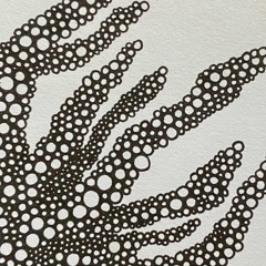 [Office Hours] Live Sets