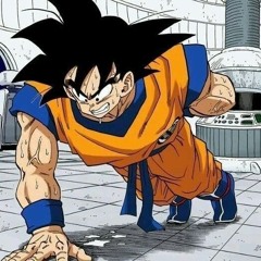Dragon Ball Gym