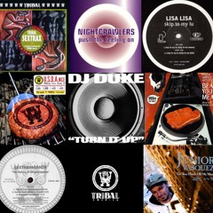 1994 House Mix