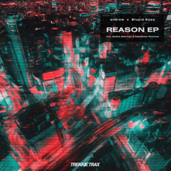 andrew, Stupid Kozo - Reason EP [Official Teaser]