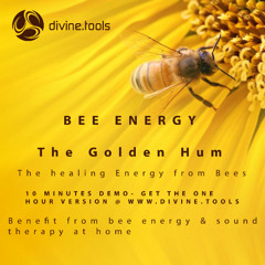 Bee Energy - The Golden Hum - Divine Tools
