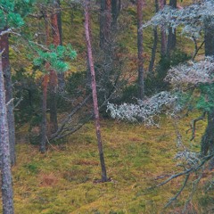 A Lie You May Have Heard