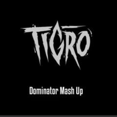 Tigro - Dominator Mashup
