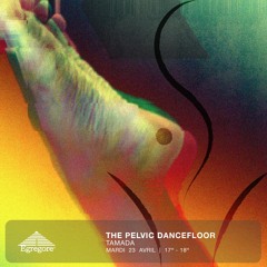 The Pelvic Dancefloor - Tamada (Avril 2024)