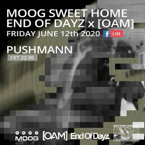 Pushmann - MOOG Sweet Home / End Of Dayz x [OAM]