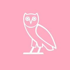 Drake Race My Mind x JayO Obsessed Mash Up