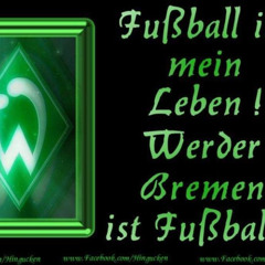 1 fußballfan sein