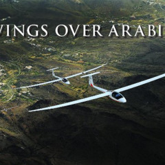 free EBOOK 💞 Wings Over Arabia by  Roger Harrison [PDF EBOOK EPUB KINDLE]