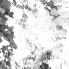 O-24 (EXPERIMENTAL CLASSIC) ARTIST ROBIN HÜBLER