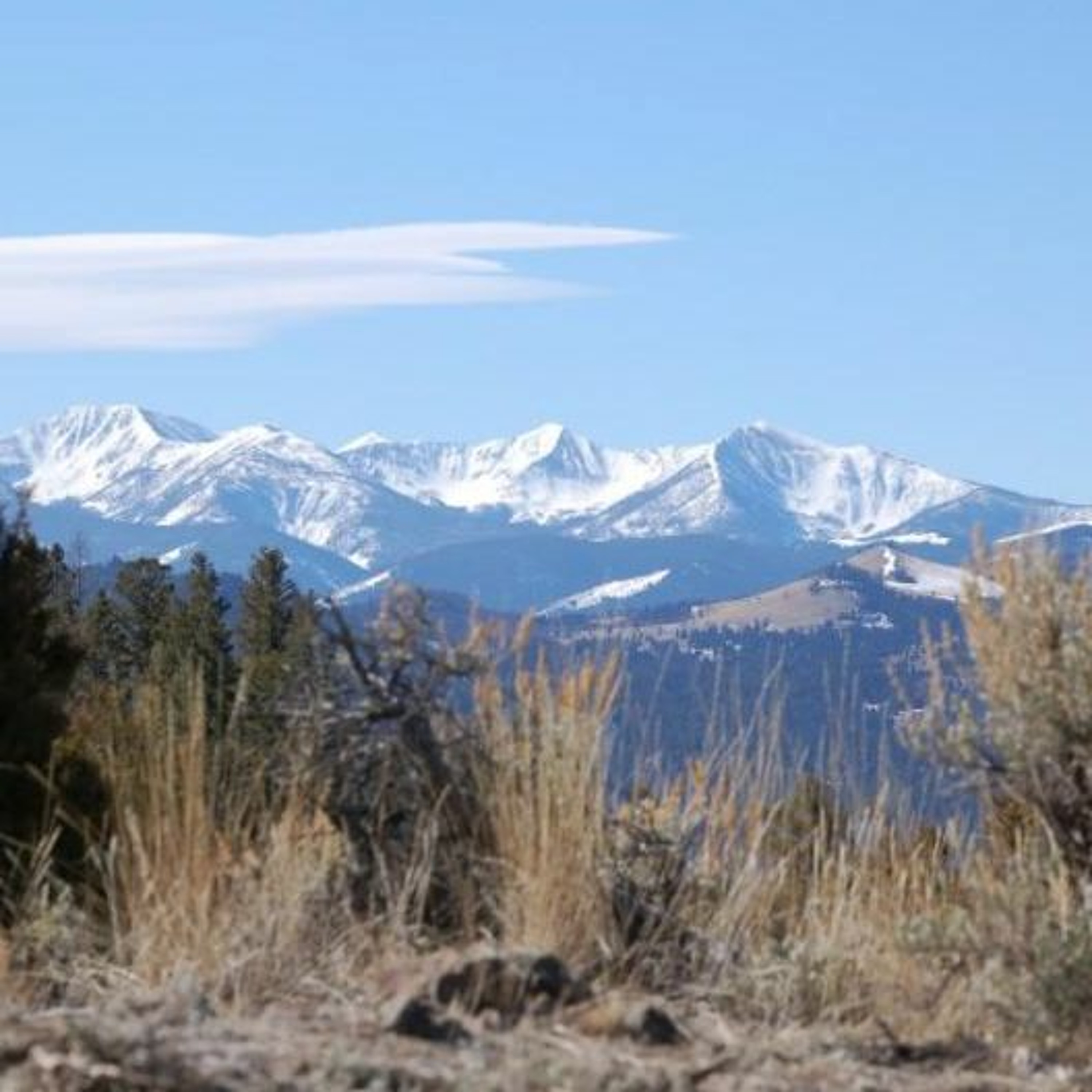 Trail of the Week