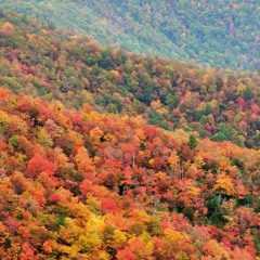 Appalachian Majesty (for concert band)