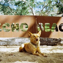The Regulators @ Echo Beach (27.04.24 | 4:30 - 6:00pm)