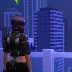 Virtual lives of virtual wives